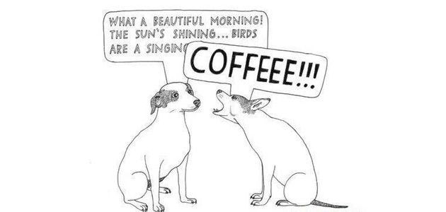 dog-coffee