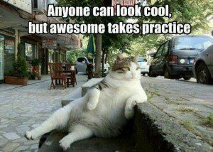 Doug gulleson, www.douggulleson.com, diving doug, dougs corner, doug’s corner, doug’s dive corner, dougs dive corner, Phoenix, Arizona, Phoenix Arizona, Gilbert, Chandler, East Valley, TCK, MK, Lembeh, Manado, Indonesia, Lembeh Resorts, Critters@Lembeh, critters at lembeh, muck diving, macro diving, cats, dogs, pets, 