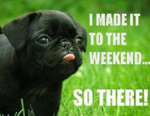 Gotta love the weekends! dogs, cats, Arizona, Phoenix, Gilbert, Arizona humane society, get a pet, pet, pets, travel, Bali, diving, scuba, Indonesia, underwater photography, www.douggulleson.com, doug gulleson, diving doug, doug's corner, dougs corner